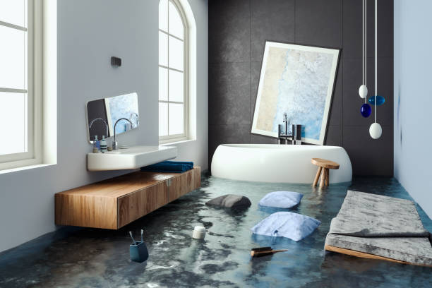Best Mold removal after water damage  in South Laurel, MD