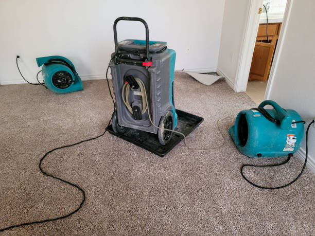 Best Water damage restoration company  in South Laurel, MD