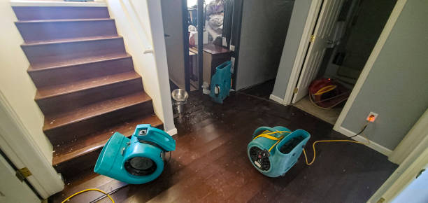 Best Emergency water damage restoration  in South Laurel, MD
