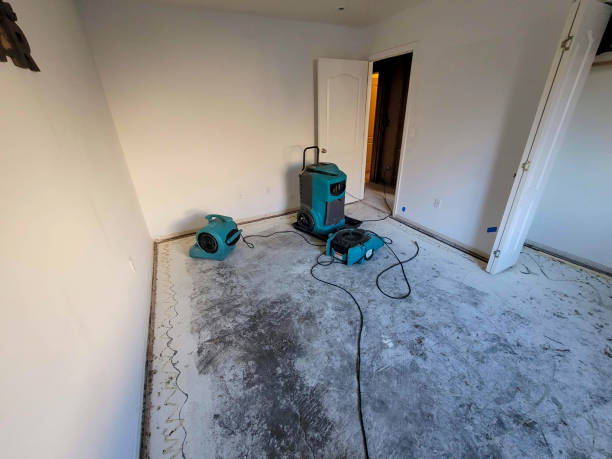 Best Fire Damage Restoration  in South Laurel, MD