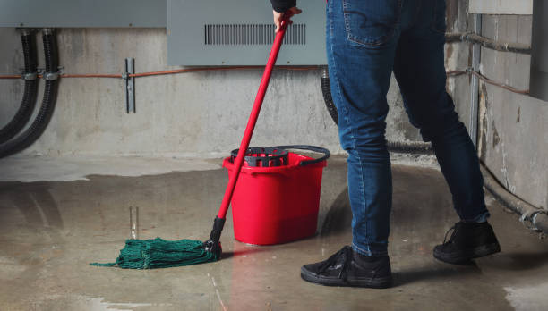 Water damage restoration mold remediation in MD