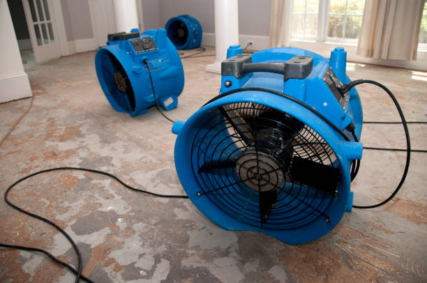 Best Flood restoration services  in South Laurel, MD