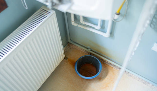 Best Flooded house restoration  in South Laurel, MD
