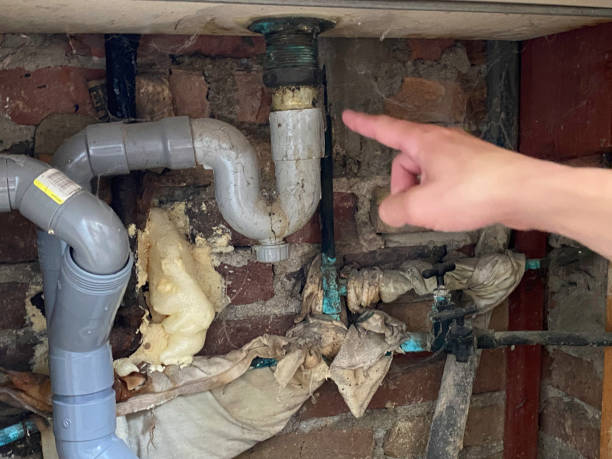 Best 24/7 water damage repair  in South Laurel, MD