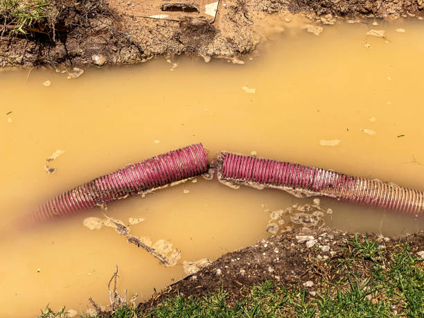 Best Professional water damage repair  in South Laurel, MD